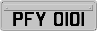 PFY0101