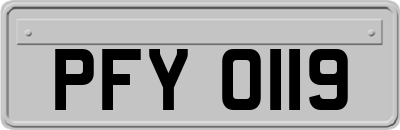 PFY0119