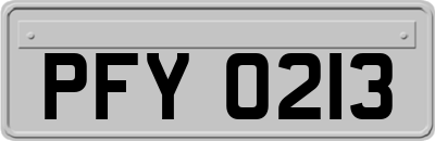 PFY0213