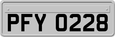 PFY0228