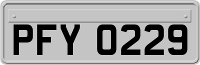 PFY0229