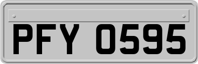PFY0595
