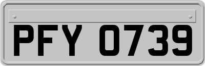 PFY0739