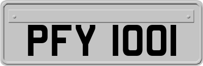 PFY1001
