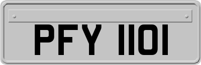 PFY1101