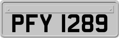 PFY1289