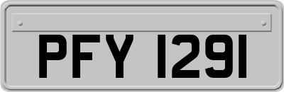 PFY1291