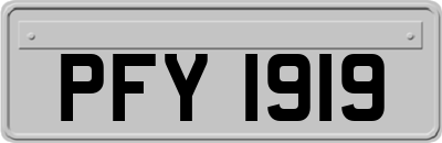 PFY1919