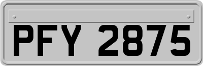 PFY2875