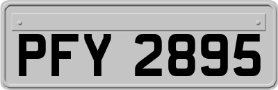 PFY2895