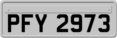 PFY2973