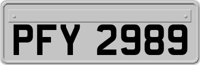 PFY2989