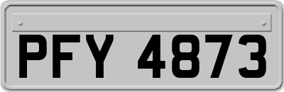 PFY4873