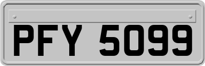PFY5099