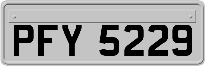 PFY5229