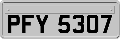 PFY5307