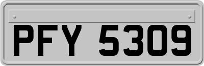 PFY5309