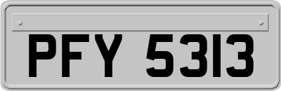 PFY5313