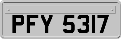 PFY5317