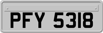 PFY5318