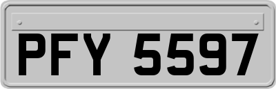 PFY5597