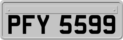 PFY5599