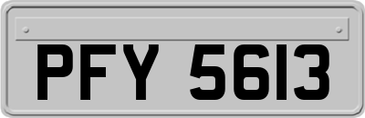 PFY5613