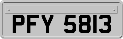 PFY5813