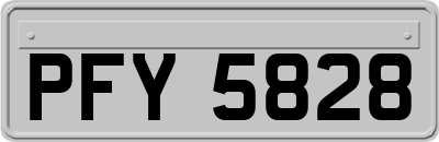 PFY5828