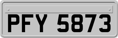 PFY5873