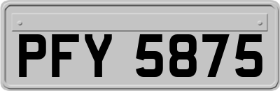 PFY5875