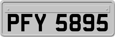 PFY5895