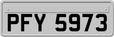 PFY5973