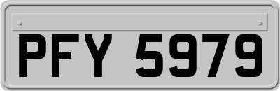 PFY5979