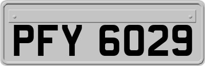 PFY6029