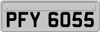 PFY6055