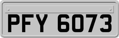 PFY6073