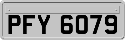 PFY6079