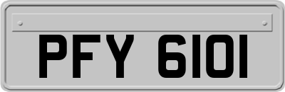 PFY6101