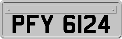 PFY6124