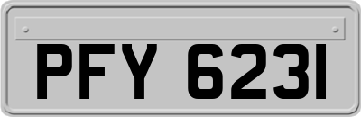 PFY6231