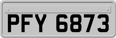 PFY6873
