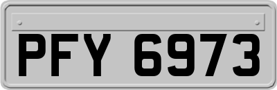PFY6973
