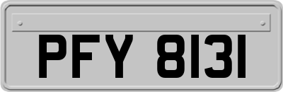 PFY8131