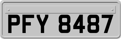 PFY8487