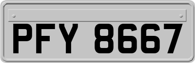 PFY8667