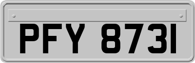PFY8731