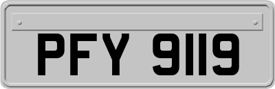 PFY9119
