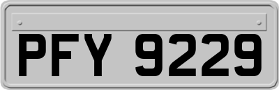 PFY9229