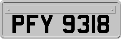 PFY9318